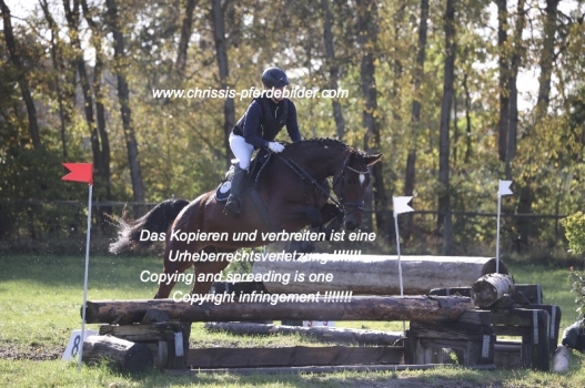 Preview desiree schaeffer mit grand caprice IMG_0767.jpg